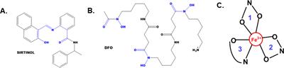 Evaluating the iron chelator function of sirtinol in non-small cell lung cancer